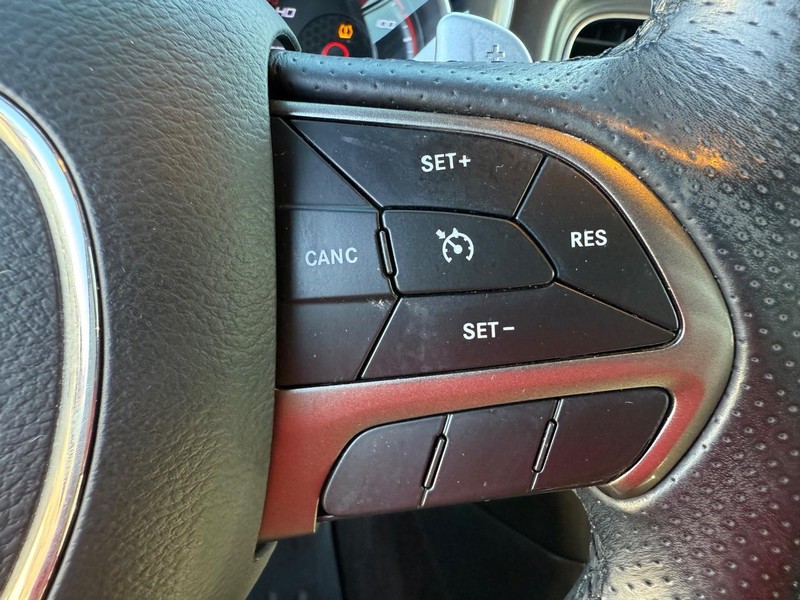 Dodge Charger Vehicle Image 14