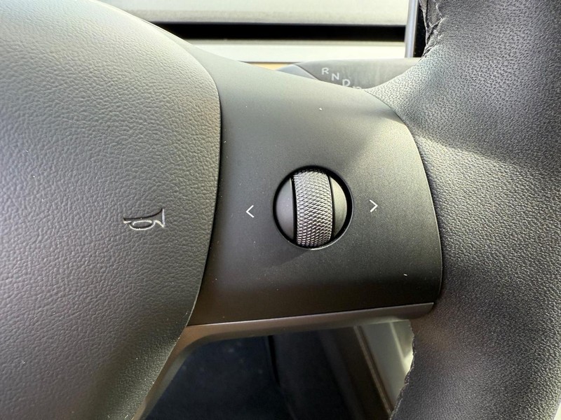 Tesla Model 3 Vehicle Image 15