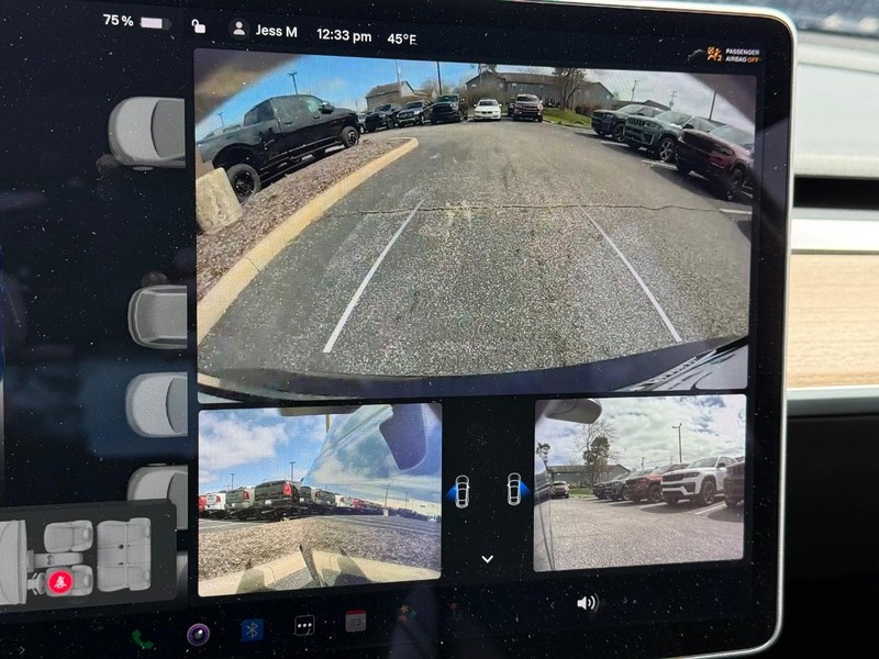 Tesla Model 3 Vehicle Image 17