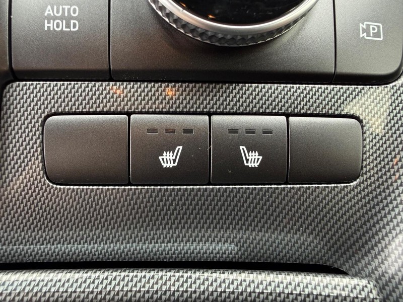 Hyundai Santa Fe Vehicle Image 17