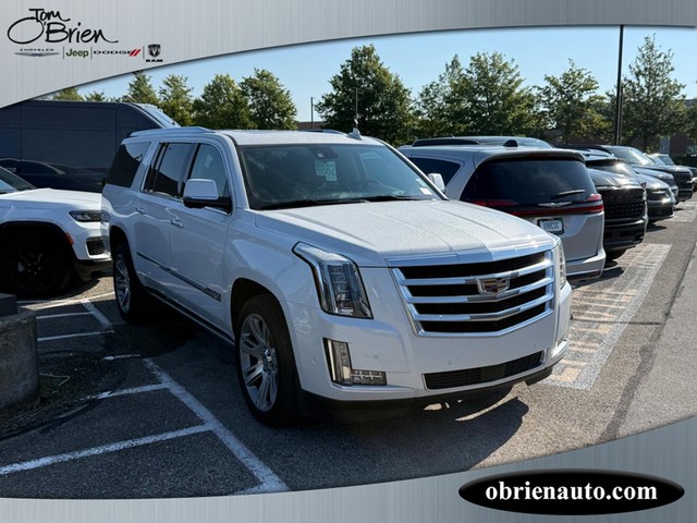 Indianapolis IN 2020 Cadillac Escalade ESV more details - cadillac escalade esv