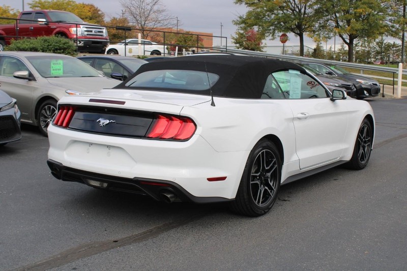 Ford Mustang Vehicle Image 03