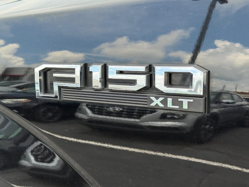 Ford F-150 Vehicle Image 07