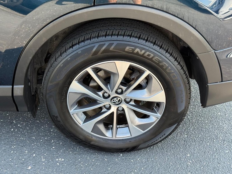 Toyota RAV4 Hybrid Vehicle Image 06