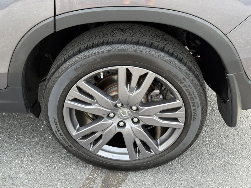 Honda Passport Vehicle Image 06