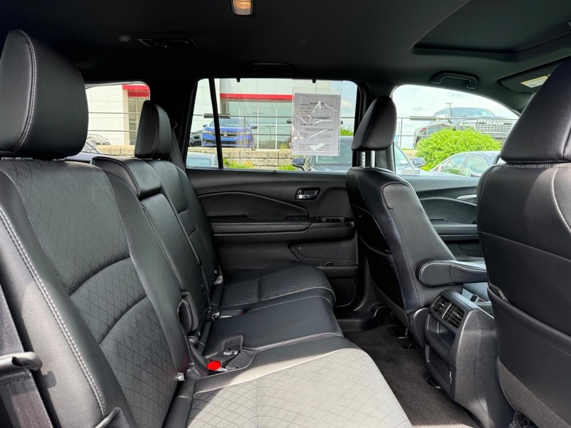 Honda Passport Vehicle Image 11