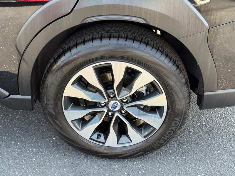 Subaru Outback Vehicle Image 06