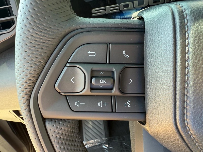 Toyota Sequoia Vehicle Image 07