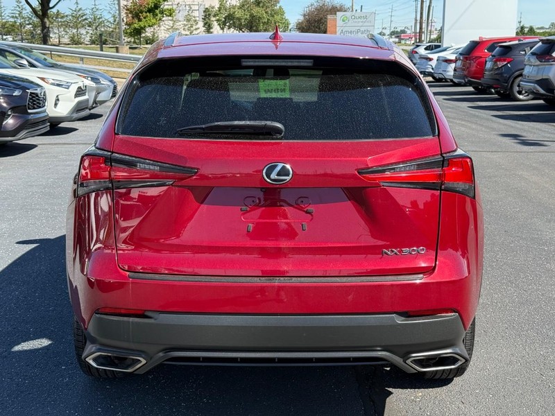 Lexus NX Vehicle Image 04