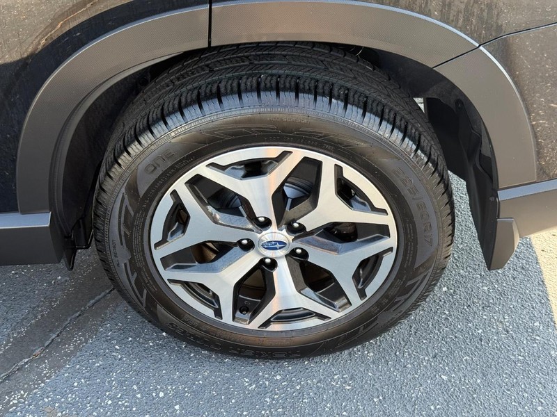 Subaru Forester Vehicle Image 06