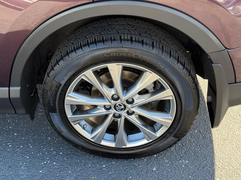 Toyota RAV4 Vehicle Image 06