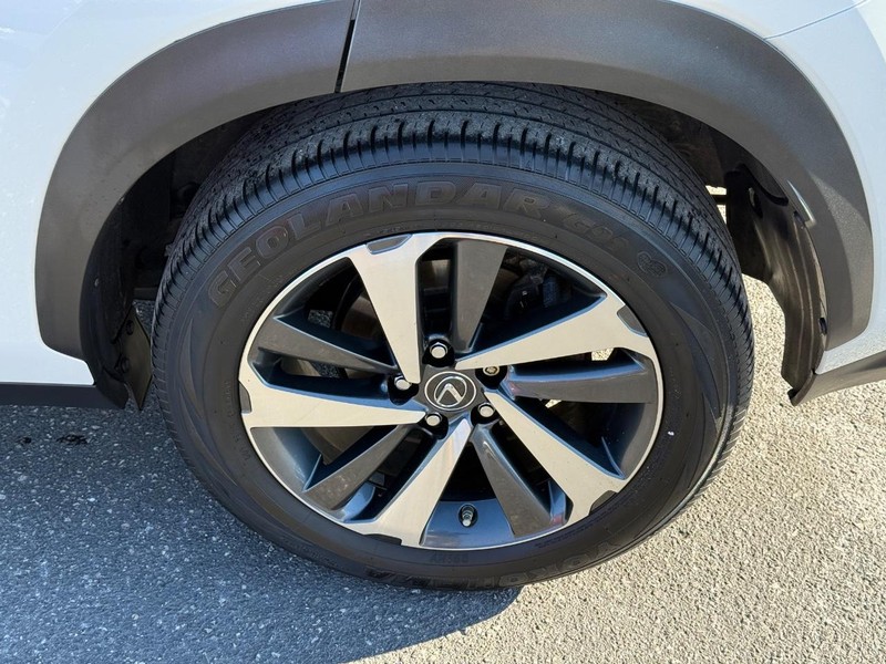 Lexus NX Vehicle Image 06