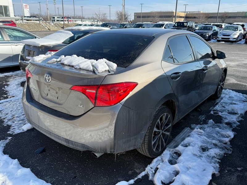 Toyota Corolla Vehicle Image 04