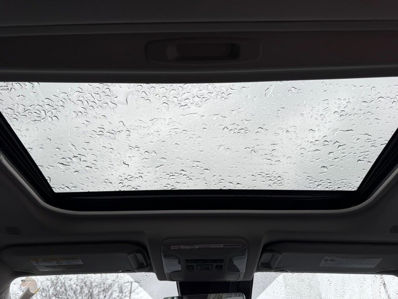 Toyota RAV4 Vehicle Image 09