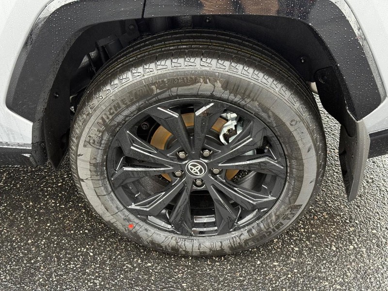 Toyota RAV4 Vehicle Image 06