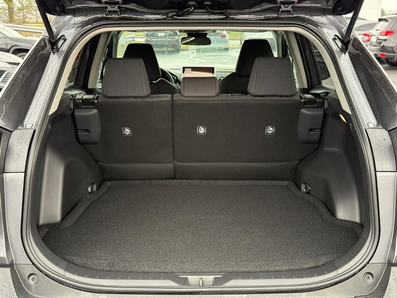 Toyota RAV4 Vehicle Image 07