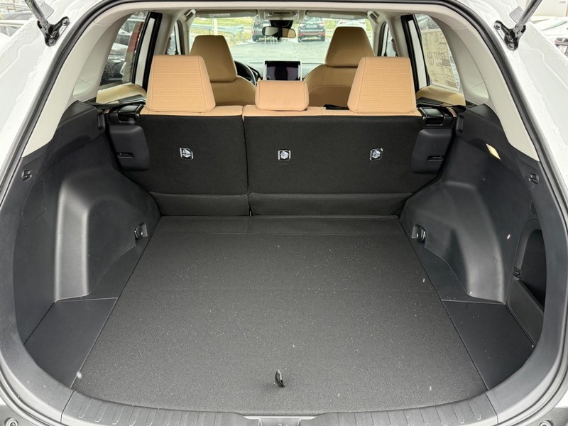 Toyota RAV4 Vehicle Image 04