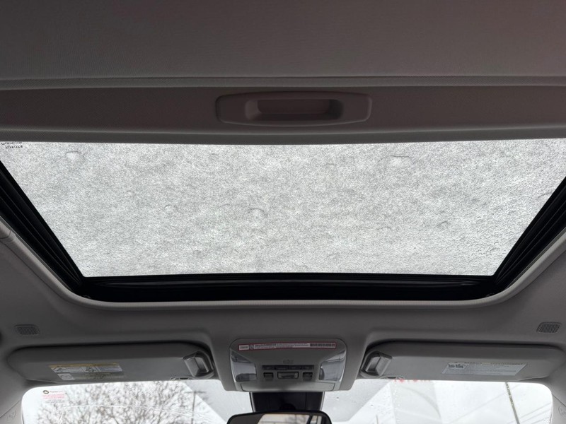 Toyota RAV4 Vehicle Image 09