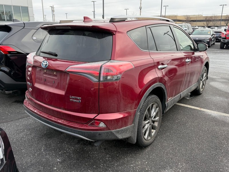 Toyota RAV4 Vehicle Image 04