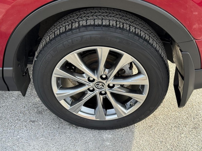 Toyota RAV4 Vehicle Image 06