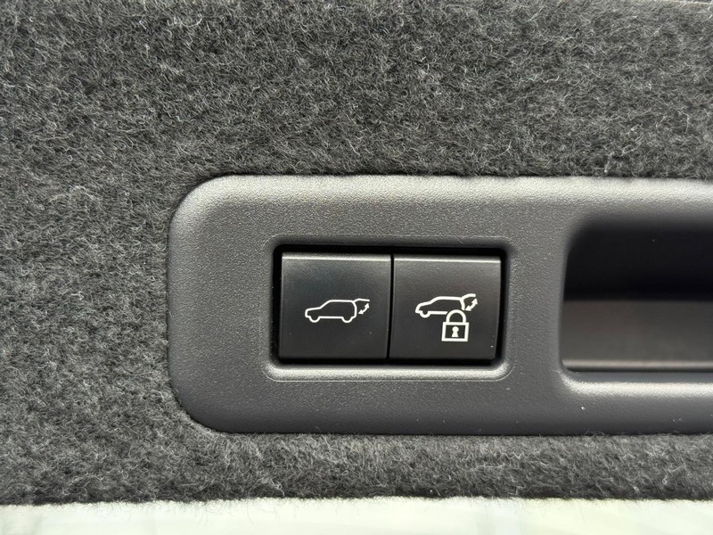 Lexus RX Vehicle Image 08