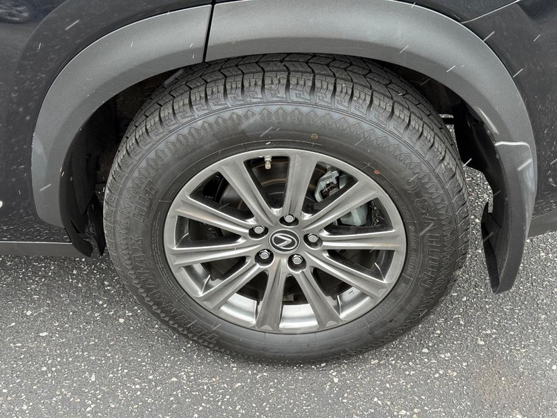 Lexus NX Vehicle Image 06