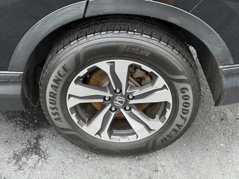 Honda CR-V Vehicle Image 06