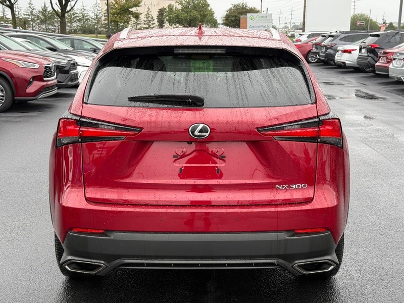 Lexus NX Vehicle Image 04