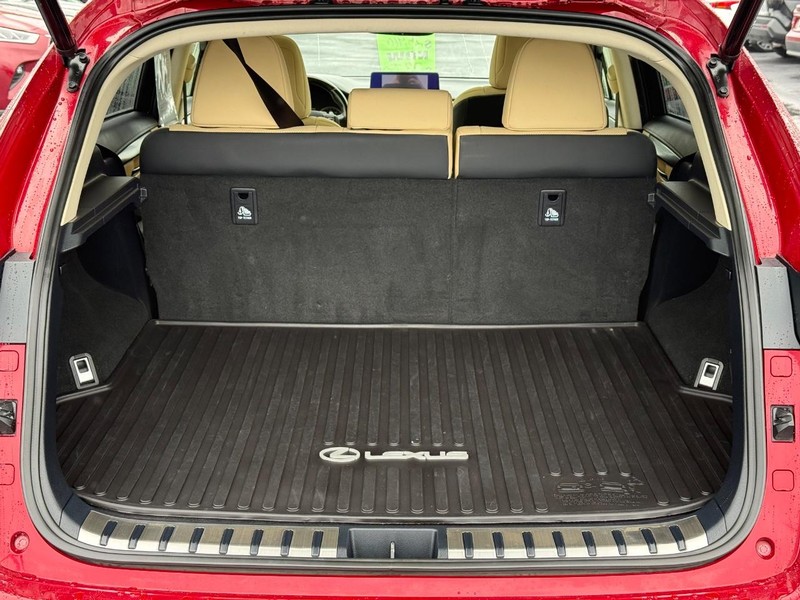 Lexus NX Vehicle Image 07