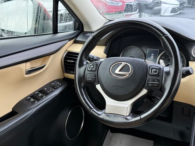 Lexus NX Vehicle Image 14