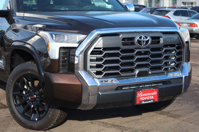 Toyota Tundra 4WD Vehicle Image 03