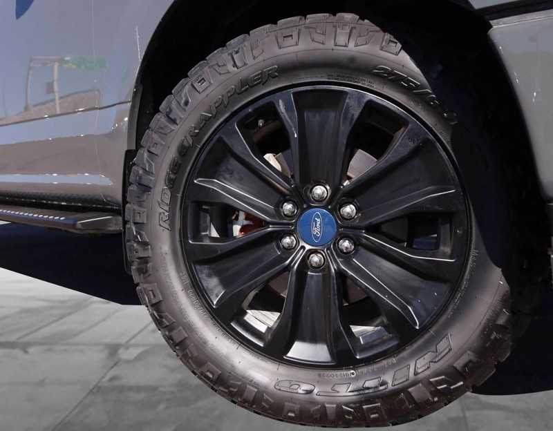Ford F-150 Vehicle Image 03