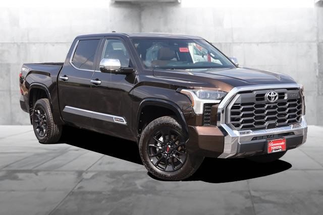 Toyota Tundra 4WD Vehicle Image 02
