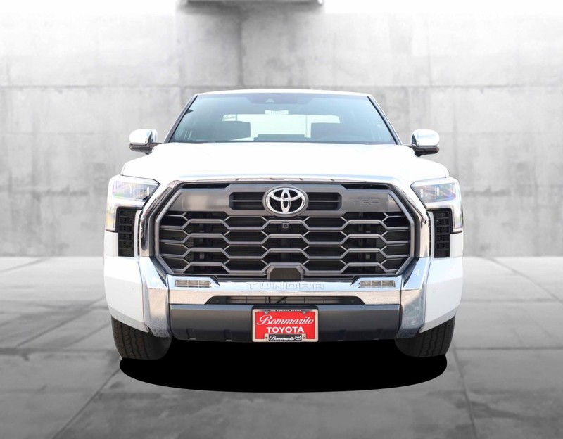 Toyota Tundra 4WD Vehicle Image 04