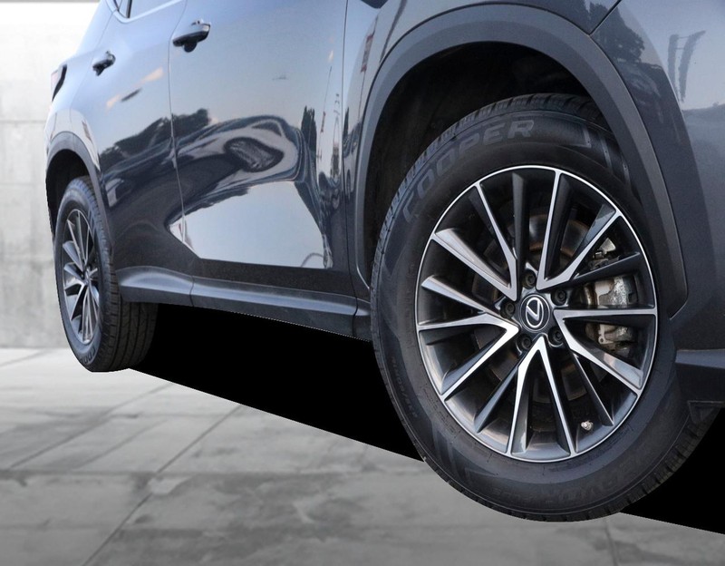 Lexus NX Vehicle Image 03