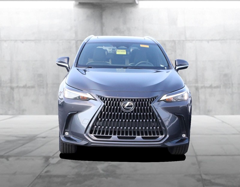 Lexus NX Vehicle Image 04
