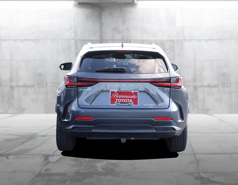 Lexus NX Vehicle Image 06