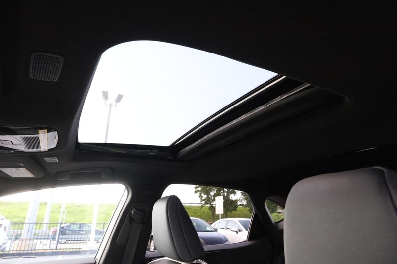 Lexus NX Vehicle Image 09