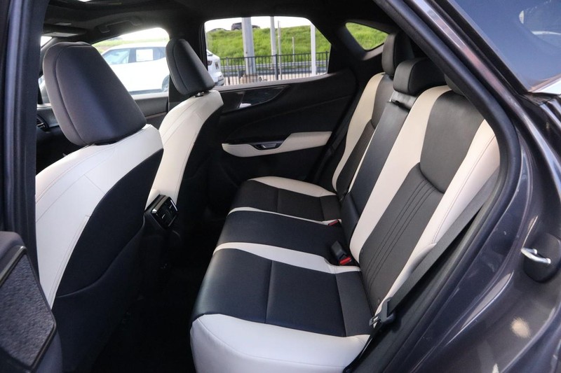 Lexus NX Vehicle Image 11