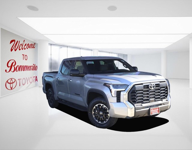 Toyota Tundra 4WD Vehicle Image 02