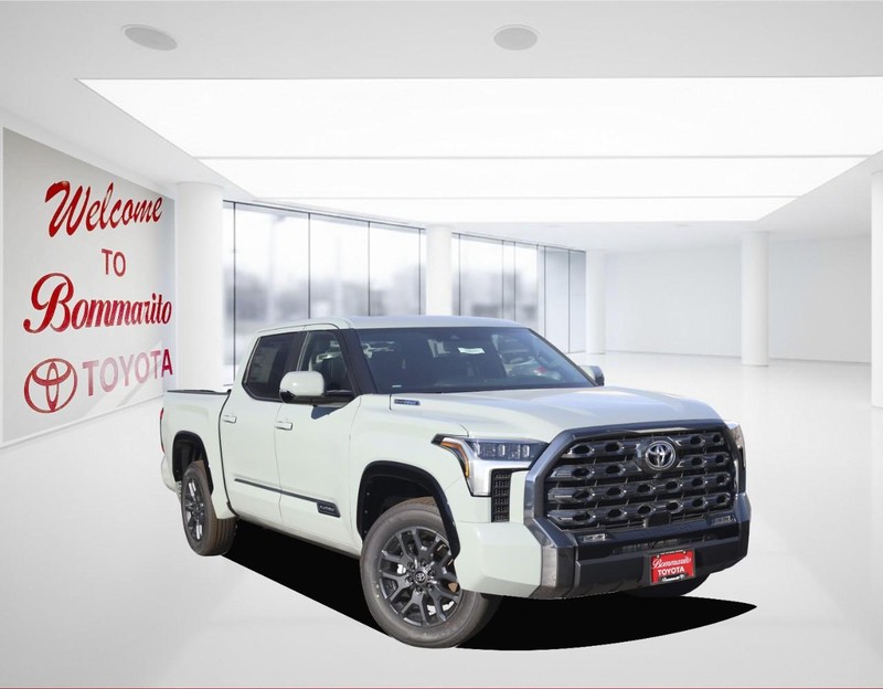 Toyota Tundra 4WD Vehicle Image 02