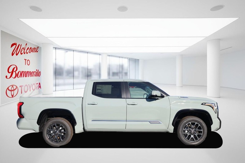 Toyota Tundra 4WD Vehicle Image 05