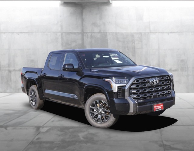 Toyota Tundra 4WD Vehicle Image 02