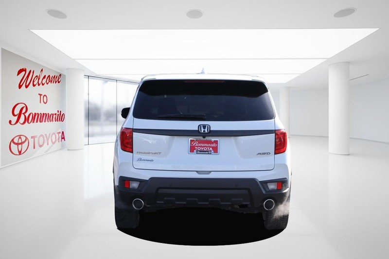 Honda Passport Vehicle Image 06