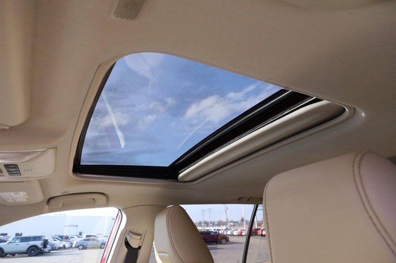 Toyota RAV4 Vehicle Image 09