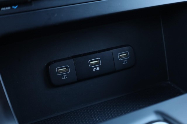 Kia Carnival Vehicle Image 16