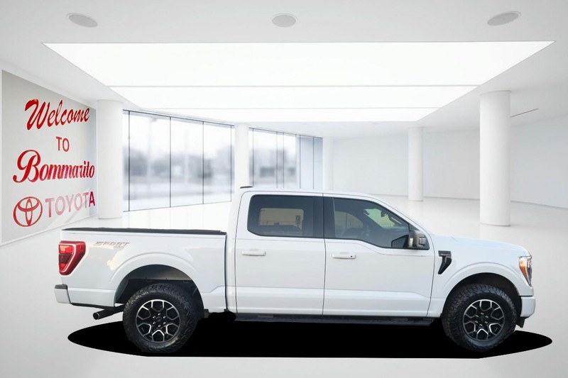Ford F-150 Vehicle Image 05