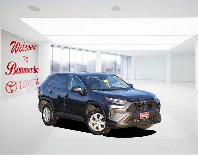 Toyota RAV4 Vehicle Image 02