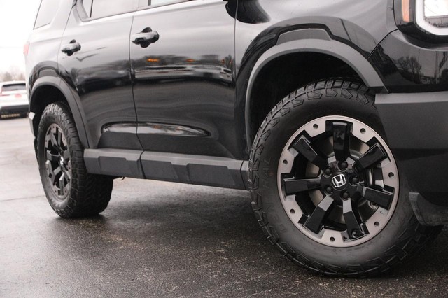 Honda Passport Vehicle Image 03