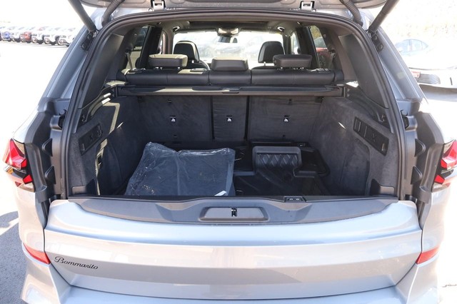 BMW X5 Vehicle Image 08